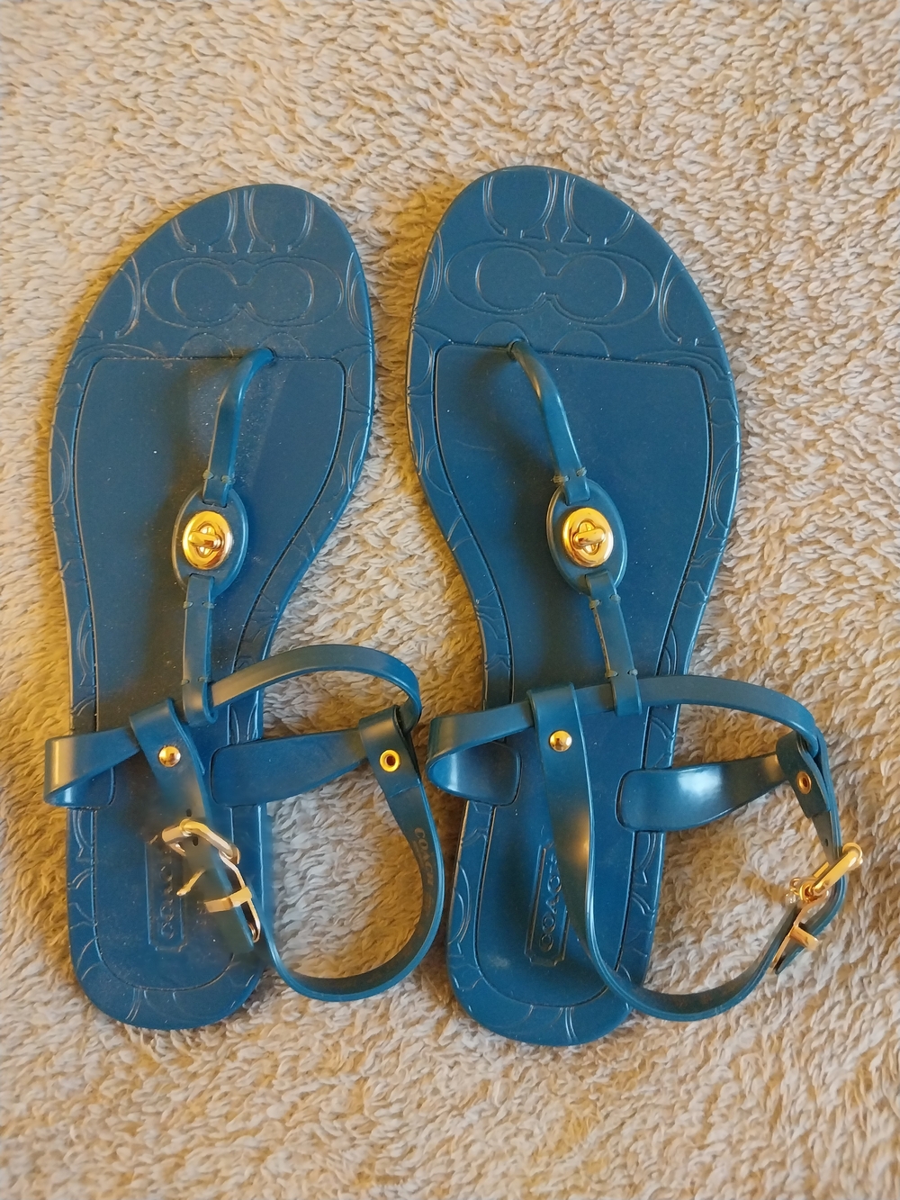 Coach Blue  T-Strap Sandals with Gold Accents